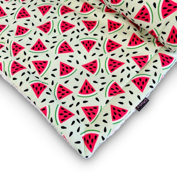 Image showcasing Melon-Tastic Corduroy Luxury Dog Blanket - RichPaw